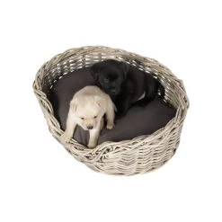 51 Degrees North Rattan Basket 8 51 Degrees North Rattan Basket -ROYAL CANIN Store 51 degrees north rattan basket 209954 0500 none