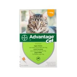 Advantage Katze -ROYAL CANIN Store advantage kat 104089 0500 none