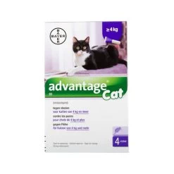 Advantage Katze -ROYAL CANIN Store advantage kat 104092 0500 none