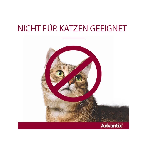 Advantix® 2 Advantix® - Image 2