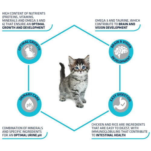 Affinity Advance Kitten Huhn Und Reis 5 Affinity Advance Kitten Huhn Und Reis – Bild 5