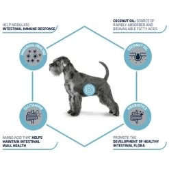 Affinity Advance Veterinary Diets Gastroenteric Hund -ROYAL CANIN Store affinity advance veterinary diets gastroenteric hond 177655 0500 none