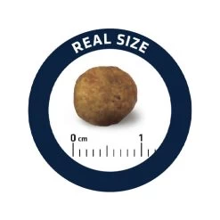 Affinity Advance Veterinary Diets Gastroenteric Hund -ROYAL CANIN Store affinity advance veterinary diets gastroenteric hond 177679 0500 none