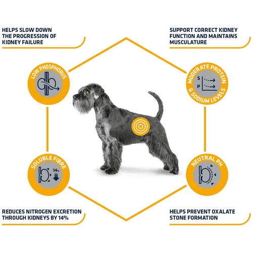Affinity Advance Veterinary Diets Renal Hund 3 Affinity Advance Veterinary Diets Renal Hund - Image 3