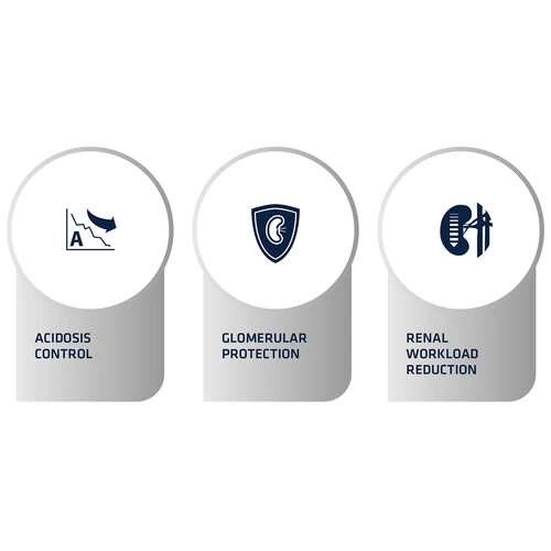 Affinity Advance Veterinary Diets Renal Hund 4 Affinity Advance Veterinary Diets Renal Hund - Image 4