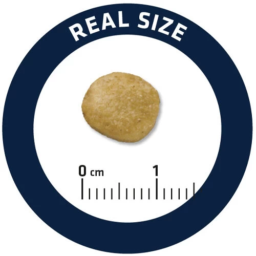 Affinity Advance Veterinary Diets Renal Hund 5 Affinity Advance Veterinary Diets Renal Hund - Image 5