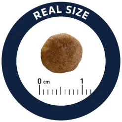 Affinity Advance Veterinary Diets Urinary Sterilized Low Calorie Katze -ROYAL CANIN Store affinity advance veterinary diets urinary sterilized low calorie kat 178153 0500 none