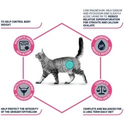 Affinity Advance Veterinary Diets Urinary Sterilized Low Calorie Katze -ROYAL CANIN Store affinity advance veterinary diets urinary sterilized low calorie kat 178174 0500 none