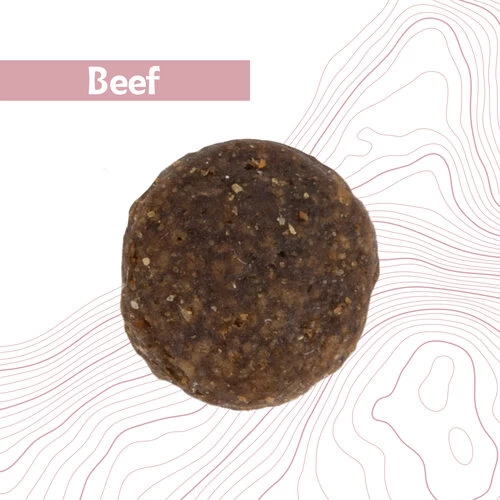 Antelope Fresh Adult Hundefutter 11 Antelope Fresh Adult Hundefutter - Image 11