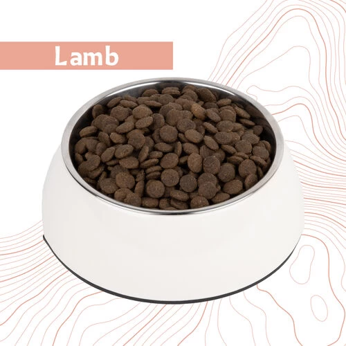 Antelope Fresh Adult Hundefutter 13 Antelope Fresh Adult Hundefutter - Image 13