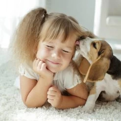 Beaphar Fiprotec Spray 9 Beaphar Fiprotec Spray -ROYAL CANIN Store beaphar fiprotec spray 213632 0500 none