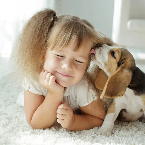 Beaphar Fiprotec Spray 5 Beaphar Fiprotec Spray - Image 5