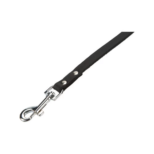 Beeztees Enjoy Hundeleine 5 Beeztees Enjoy Hundeleine – Bild 5