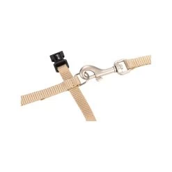 Beeztees Nylon Katzengeschirr Uni - Beige -ROYAL CANIN Store beeztees nylon kattentuig uni beige 186637 0500 none