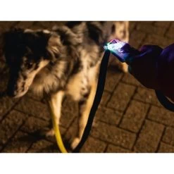 Beeztees Safety Gear Parinca Premium Hundeleine 12 Beeztees Safety Gear Parinca Premium Hundeleine -ROYAL CANIN Store beeztees safety gear parinca premium hondenriem 215036 0500 none