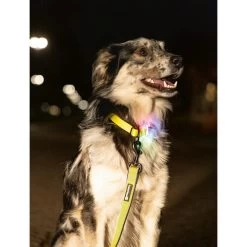 Beeztees Safety Gear Parinca Premium Hundeleine 13 Beeztees Safety Gear Parinca Premium Hundeleine -ROYAL CANIN Store beeztees safety gear parinca premium hondenriem 215039 0500 none