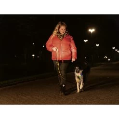 Beeztees Safety Gear Parinca Premium Hundeleine 15 Beeztees Safety Gear Parinca Premium Hundeleine -ROYAL CANIN Store beeztees safety gear parinca premium hondenriem 215042 0500 none