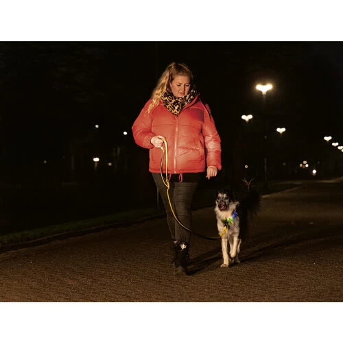 Beeztees Safety Gear Parinca Premium Hundeleine 8 Beeztees Safety Gear Parinca Premium Hundeleine – Bild 8