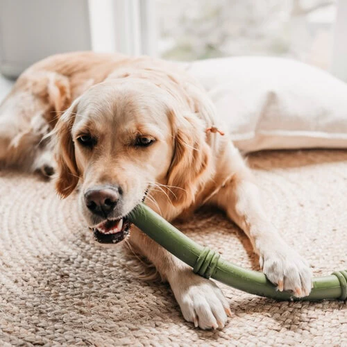 Beeztees Sumo Fit Stick 2 Beeztees Sumo Fit Stick - Image 2