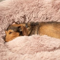 Beeztees Yali Plüsch-Donut-Bett - Grau 8 Beeztees Yali Plüsch-Donut-Bett - Grau -ROYAL CANIN Store beeztees yali pluche donutmand 216351 0500 none