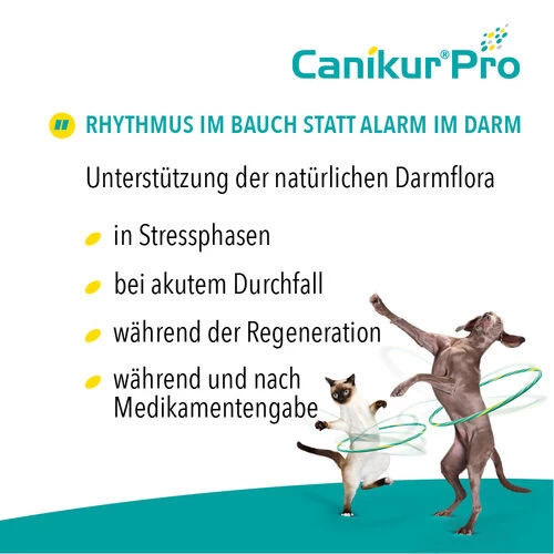 Canikur® Pro Diät-Ergänzungsfuttermittel Für Hunde 3 Canikur® Pro Diät-Ergänzungsfuttermittel Für Hunde - Image 3