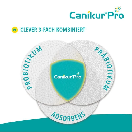 Canikur® Pro Diät-Ergänzungsfuttermittel Für Hunde 4 Canikur® Pro Diät-Ergänzungsfuttermittel Für Hunde - Image 4