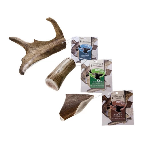 Chewies Hirschgeweih-Snack 1 Chewies Hirschgeweih-Snack