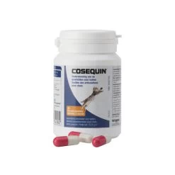 Cosequin DS -ROYAL CANIN Store cosequin ds 169032 0500 none