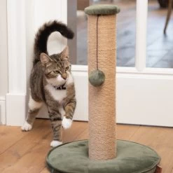 Designed By Lotte Kratzbaum Yenna 12 Designed By Lotte Kratzbaum Yenna -ROYAL CANIN Store designed by lotte krabpaal yenna 164437 0500 none