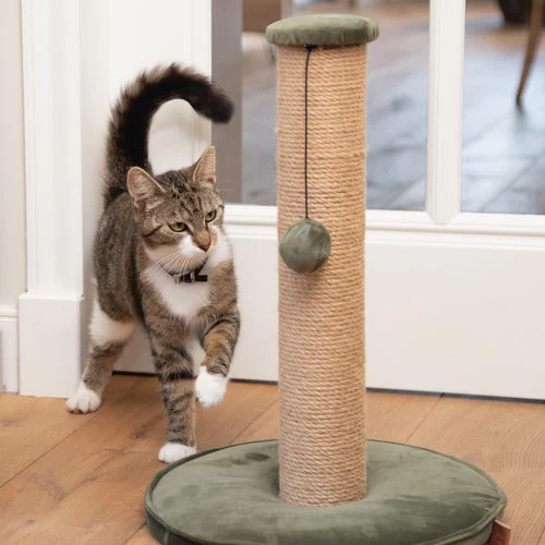 Designed By Lotte Kratzbaum Yenna 6 Designed By Lotte Kratzbaum Yenna - Image 6