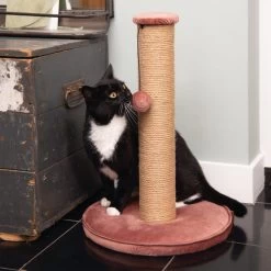 Designed By Lotte Kratzbaum Yenna 13 Designed By Lotte Kratzbaum Yenna -ROYAL CANIN Store designed by lotte krabpaal yenna 164443 0500 none