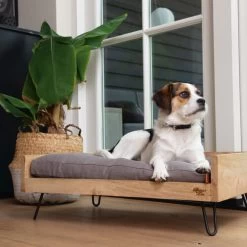 Designed By Lotte Hundebett Turana -ROYAL CANIN Store designed by lotte ligmand turana 170032 0500 none