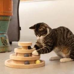 Designed By Lotte Spielturm Mia 6 Designed By Lotte Spielturm Mia -ROYAL CANIN Store designed by lotte speeltoren mia 193652 0500 none