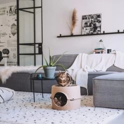 District 70 Bunker 12 District 70 Bunker -ROYAL CANIN Store district 70 bunker 190954 0500 none