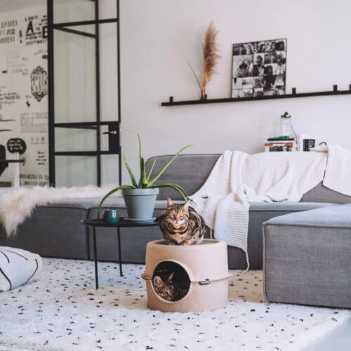 District 70 Bunker 5 District 70 Bunker - Image 5