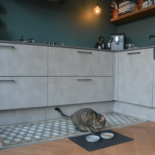 District 70 Serve Placemat 10 District 70 Serve Placemat - Image 10