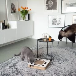 District 70 Spy -ROYAL CANIN Store district 70 spy 133861 0500 none