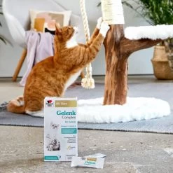 Doppelherz Gelenk Complex Für Katzen -ROYAL CANIN Store doppelherz gelenk complex fuer katzen 195053 0500 none