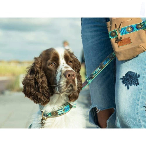 DWAM Hundeleine Boho Juan 2 DWAM Hundeleine Boho Juan – Bild 2