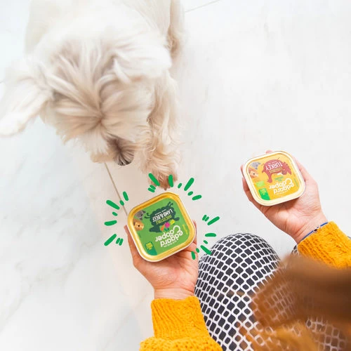 Edgard & Cooper Adult - Lamm & Rind - Im Schälchen 2 Edgard & Cooper Adult - Lamm & Rind - Im Schälchen - Image 2