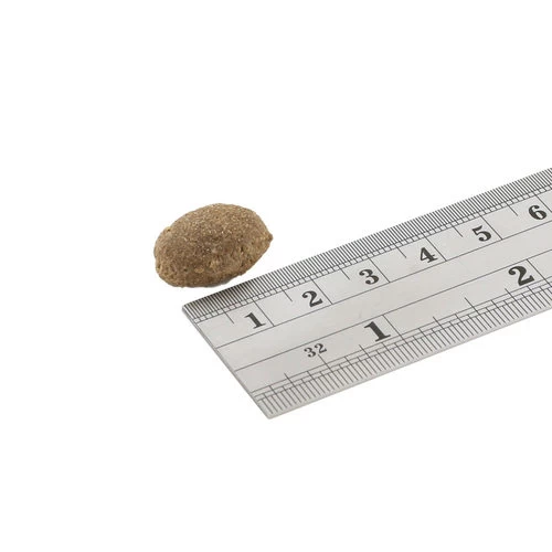 Fish4Dogs Finest Adult Complete - Sardine Große Brocken 2 Fish4Dogs Finest Adult Complete - Sardine Große Brocken - Image 2