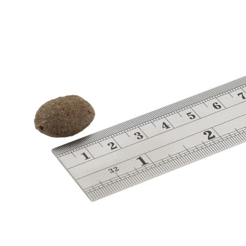 Fish4Dogs Finest Adult Complete - Lachs Große Brocken 2 Fish4Dogs Finest Adult Complete - Lachs Große Brocken - Image 2