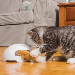 FroliCat Fox 9 FroliCat Fox -ROYAL CANIN Store frolicat fox 136594 0500 none