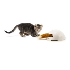 FroliCat Fox 8 FroliCat Fox -ROYAL CANIN Store frolicat fox 136600 0500 none