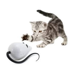 FroliCat RoloRat 9 FroliCat RoloRat -ROYAL CANIN Store frolicat rolorat 136585 0500 none