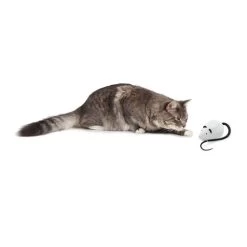 FroliCat RoloRat 7 FroliCat RoloRat -ROYAL CANIN Store frolicat rolorat 136588 0500 none