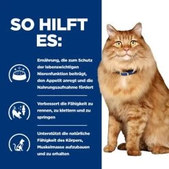 Hill's K/d + Mobility - Prescription Diet - Feline 12 Hill's K/d + Mobility - Prescription Diet - Feline -ROYAL CANIN Store hills kd mobility prescription diet feline 212465 0500 none