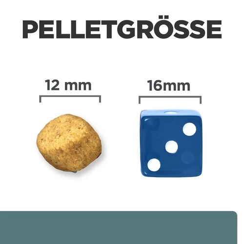 Hill's Prescription Diet W/d Diabetes Care - Canine 3 Hill's Prescription Diet W/d Diabetes Care - Canine - Image 3