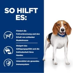 Hill's R/d Weight Reduction - Prescription Diet - Canine 10 Hill's R/d Weight Reduction - Prescription Diet - Canine -ROYAL CANIN Store hills rd weight reduction prescription diet canine 218088 0500 none