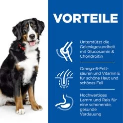 Hill's Science Plan - Adult - Large - Lamm -ROYAL CANIN Store hills science plan adult large lamb 218816 0500 none